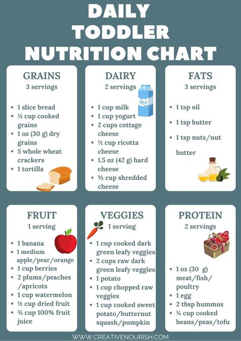 Two Year Old Breakfast Ideas, 2 Year Food Ideas, 2 Year Breakfast Ideas, Foods For One Year Olds Meals, One Year Old Food Ideas Meals, Meal Ideas For 1 Year, Easy Meals For Toddlers One Year Old, One Year Old Breakfast, One Year Old Food Ideas