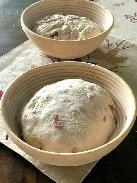 Bread Sourdough Recipe, Kids Craft Projects, Cranberry Walnut Bread, Recipe Using Sourdough Starter, Baking Kits, Childrens Baking, Sourdough Bread Starter, Sourdough Recipe, Bread Sourdough