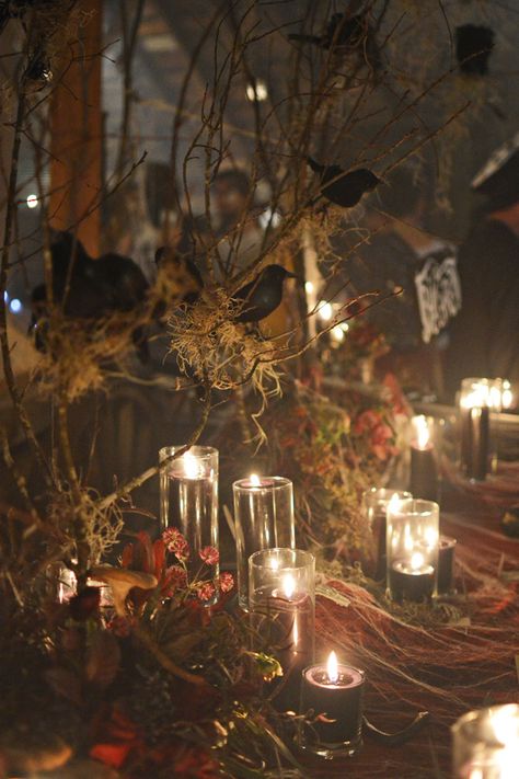 crow centerpieces for a Halloween wedding - photo by Birke Photography http://ruffledblog.com/enchanted-forest-halloween-wedding Halloween Wedding Centerpieces, Romantic Halloween, Halloween Wedding Decorations, Many Candles, Witch Wedding, Centerpieces Ideas, Halloween Themed Wedding, Casa Halloween, Photo Deco