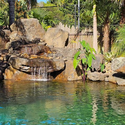 Your own tropical lagoon #recreationpond #tropicalpools #tropicallandscaping #tropicalplants #naturalswimmingpool #aquascapes #biopools #lagoon #landscapedesign #Rockpool Tropical Lagoon, Natural Swimming Pool, Rock Pools, Tropical Landscaping, Tropical Plants, Landscape Design, Pool, Quick Saves, Landscape Designs