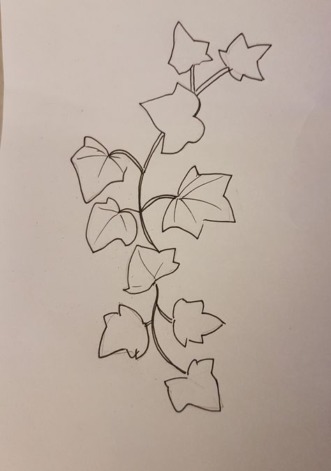 Draw Vines And Leaves, Ivy Drawing Simple, Ivy Drawing Vines, How To Draw Ivy Vines Step By Step, Ivy Sketch, Vines Drawing, Vine Drawing, Hedera Helix, Ivy Vine