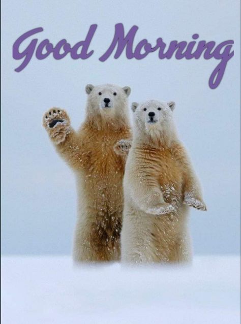 Cold Good Morning Winter, Good Morning Winter, Happy Day Quotes, Good Morning Funny Pictures, Good Morning Beautiful Gif, Good Morning Sunshine Quotes, Good Morning Inspiration, Good Morning Images Hd, Good Morning Wishes Quotes