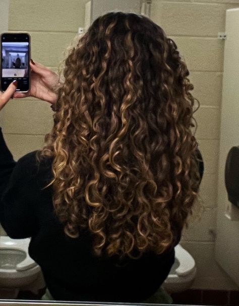 Curly Hair Dark Roots Light Ends, Dark Brown Hair Color Ideas Summer, Highlights And Lowlights On Brown Hair, Curly Lowlights, Caramel Brown Curly Hair, Lowlights Curly Hair, How To Lighten Brown Hair, Curly Hair Lowlights, Curly Hair Highlights And Lowlights