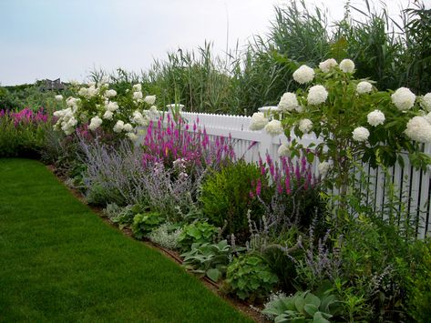 Garden Ideas Along Fence Line, Privacy Fence Landscaping, Landscaping Along Fence, Hydrangea Landscaping, Fence Plants, Privacy Landscaping, Landscape Edging, Garden Shrubs, White Picket Fence