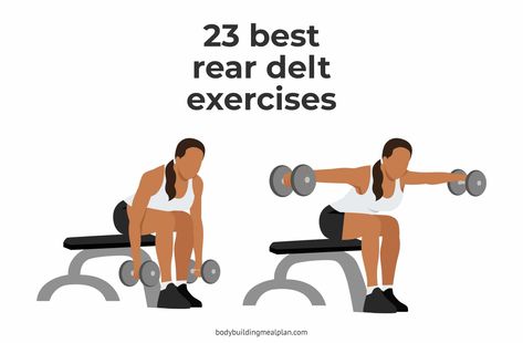 23 Best Rear Delt Exercises Db Rear Delt Flys, Rear Deltoid Exercises, Delt Exercises, Rear Delt Exercises, Rear Delt Fly, Standing Core Exercises, Deltoid Workout, Gym Back Workout, Bicep Exercises