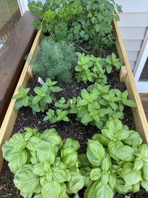 Raised Herb Garden, Patio Herb Garden, Herb Garden Planter, Small Herb Gardens, Tattoo Plant, Outdoor Herb Garden, Diy Herb Garden, Herb Garden Design, Garden Wallpaper