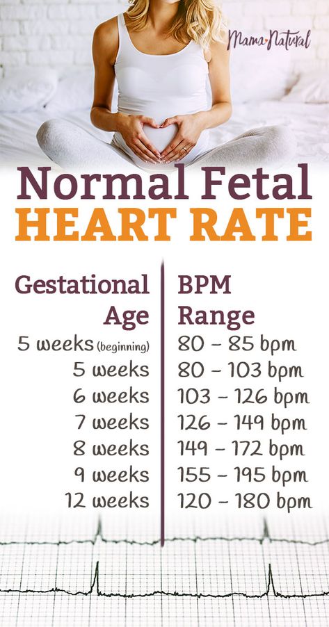 Fetal Heart Rate Gender, Fetal Heart Rate Chart, Heartbeat Gender Prediction, Baby Heart Rate Gender, Gender Prediction Chart, Heart Rate Chart, Fetal Heart Monitoring, Normal Heart Rate, Baby Heart Rate