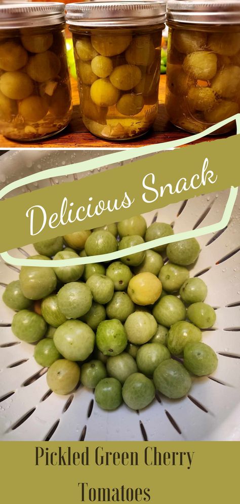 This easy recipe for pickled green cherry tomatoes is a great way to use those end of the season cherry tomatoes from your garden that don’t have time to ripen before the first frost. You can enjoy their fresh flavor during the long winter months. Pickling is a great way to preserve the leftover unripe cherry tomatoes and have them to add to salad, sandwich, pasta, or charcuterie boards. The tiny green tomatoes look so pretty when preserved in jars. They make beautiful gifts also. Picked Green Cherry Tomatoes, Pickle Green Tomatoes Recipe, Green Tomato Canning Recipes, Pickled Green Cherry Tomatoes Recipe, Pickled Green Cherry Tomatoes, Pickled Cherry Tomatoes Recipe, Tomatoes For Canning, Green Cherry Tomatoes, Pickled Cherry Tomatoes