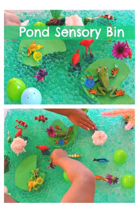 Sensory Activities for Toddlers Life Cycle Activities For Toddlers, Pond Life Crafts For Toddlers, Life Cycle Activities For Preschoolers, Pond Activities Preschool, Pond Life Preschool Activities, Life Cycle Sensory Bin, Frog Sensory Bin, Pond Sensory Bin, Pond Sensory