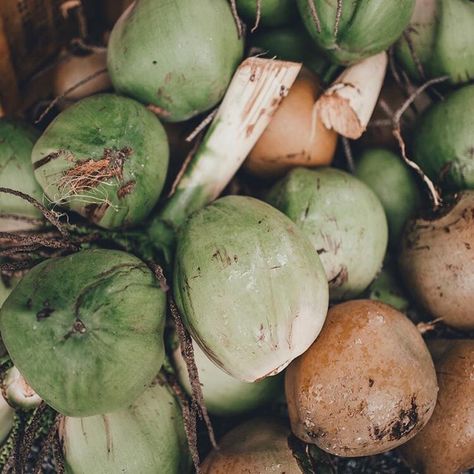 Fruit Photography, Harvest Festival, Beach Vibe, Island Life, Red Poppies, Fruits And Veggies, Organic Gardening, Photography Inspiration, Summer Vibes