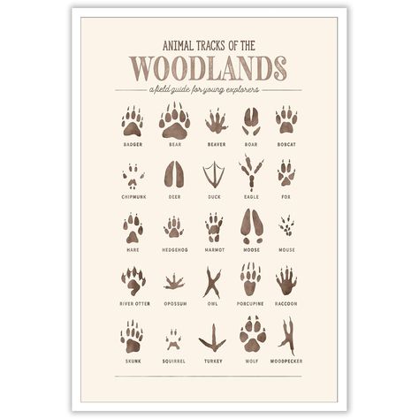 Forest Animal Prints, Woodsy Nursery Baby Boy, Woods Nursery Theme, Outdoor Theme Bedroom, Vintage Hunting Nursery, Outdoor Themed Nursery, Deer Themed Nursery, Woodland Forest Nursery, Outdoorsy Nursery