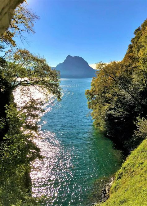 Lake Lugano, In Touch With Nature, Floating Homes, Italian Lakes, Solar Roof, Power System, Floating House, Houseboat, House Boat