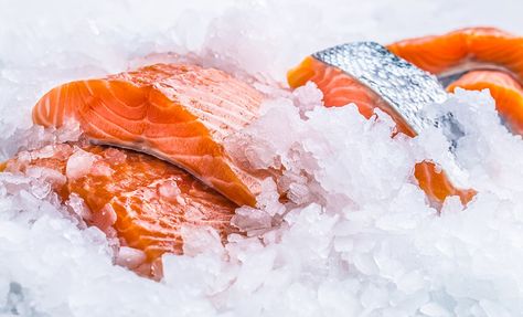 Seafood Dinner Recipes, Seafood Dish Recipes, Frozen Fish, Raw Salmon, Salmon Farming, Coconut Ginger, Ginger Sauce, Healthy Fish, Fatty Fish