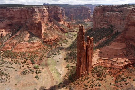 Arizona's Navajo Nation Has Officially Reopened For Tourism Canyon De Chelly, Grand Falls, Shirakawa Go, Alpine Forest, Whatever Forever, Petrified Forest National Park, Hampi, Bagan, Road Trip Fun