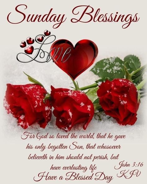 Sunday Blessings With Love & Roses Pictures, Photos, and Images for Facebook, Tumblr, Pinterest, and Twitter Good Morning Wishes Love, Blessed Sunday Quotes, Blessed Sunday Morning, Servants Heart, Roses Pictures, Good Morning Prayer Quotes, Sunday Rose, Sunday Morning Quotes, Sunday Greetings