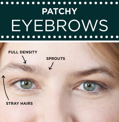 For patchy eyebrows: Focus on uniform density. | How To Fill In, Shape, Tweeze, Trim, And Transform Your Eyebrows Patchy Eyebrows, Types Of Eyebrows, Best Eyebrow Makeup, How To Do Eyebrows, Brow Threading, Sparse Eyebrows, Tweezing Eyebrows, Filling In Eyebrows, How To Draw Eyebrows