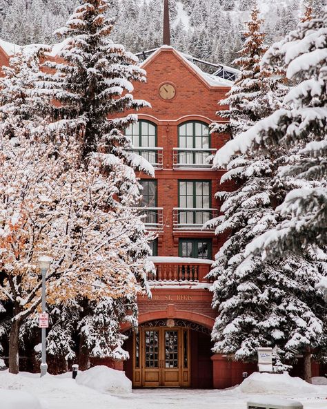 The St. Regis Aspen Resort: “It’s going to be a beautiful evening for our tree lighting ritual. The magic, memories, treats and hot cocoa start at 5pm tonight! ✨🎄…” St Regis Aspen, Aspen Resort, Polo Players, Start Of Winter, Dreamy Whites, St Regis, Style Sport, Instagram Style, Beautiful Evening