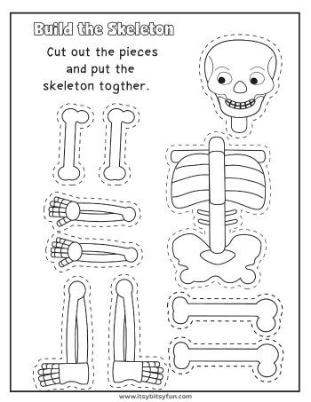 Human Body Worksheets - Itsy Bitsy Fun Anatomy Worksheets, Human Body Crafts, Human Body Lesson, Human Body Worksheets, Human Body Projects, Human Body Science, Body Preschool, Human Body Activities, Human Body Unit