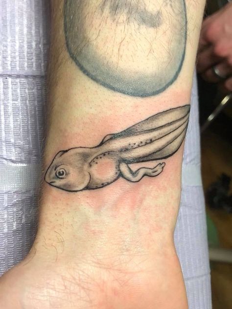 I’ve always wanted a tadpole Tattoo (nobody gets it)and this one is actually pretty cute. My grandpa always used to call his grandkids his tax poles so I fed like this would be a fitting memorial tattoo. Maybe a little smaller. Tadpole Tattoo, Frog Tattoo Ideas, Nature Sleeve, Tattoos 2022, Tattoo Guide, Frog Tattoo, Frog Tattoos, Memorial Tattoo, Wishful Thinking