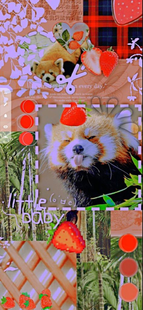 Red Panda Aesthetic Art, Red Panda Aesthetic Wallpaper, Red Panda Background, Red Panda Wallpaper Iphone, Red Panda Aesthetic, Red Panda Wallpaper, Panda Aesthetic, Panda Wallpaper Iphone, Ipad Aesthetics