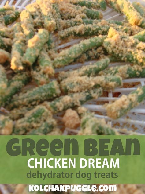 Green Bean Chicken Dehydrator Dog Treat Diy Dehydrator, Dehydrator Dog Treats, Green Bean Chicken, Dehydrated Dog Treats, Dehydrated Dog Food, Chicken Dog Treats, Dog Treat Recipe, Animal Treats, Dog Biscuit Recipes