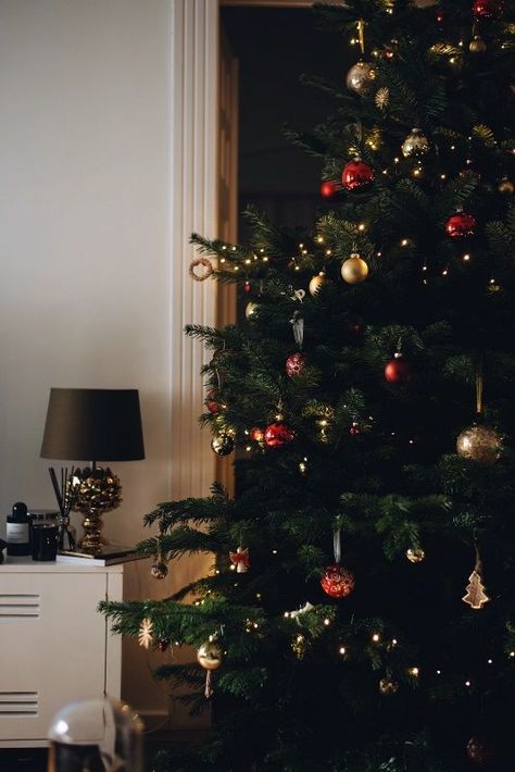 Jungkook 2020, Christmas Tree Inspiration, Christmas Feeling, Christmas Inspo, Merry Little Christmas, Christmas Mood, Holiday Inspiration, Christmas Table Decorations, Christmas Aesthetic