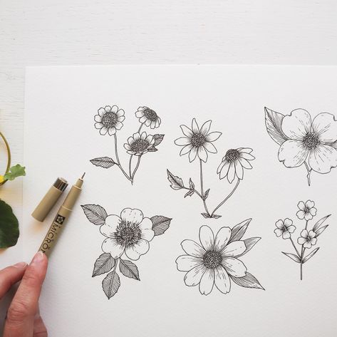 Feverfew, chamomile, dogwood, flax, Lemon Queen and wild rose. All these flowers drawn with the same few simple steps and shapes, just modified a small bit to make each bloom uniquely different. Draw these six blooms along with me on YouTube today! . . . . #chamomile #wildrose #flax #flowers #floralpursuits #drawingtutorial #howtodraw #floraldrawing #sketchbookdrawing #drawingdaily #inkedgirls #inkdrawing #modernflorals Chamomile Drawing, Flowers Drawn, Flax Flowers, Floral Drawing, Flower Stamp, Wild Rose, Sketchbook Drawing, Wild Roses, Inked Girls