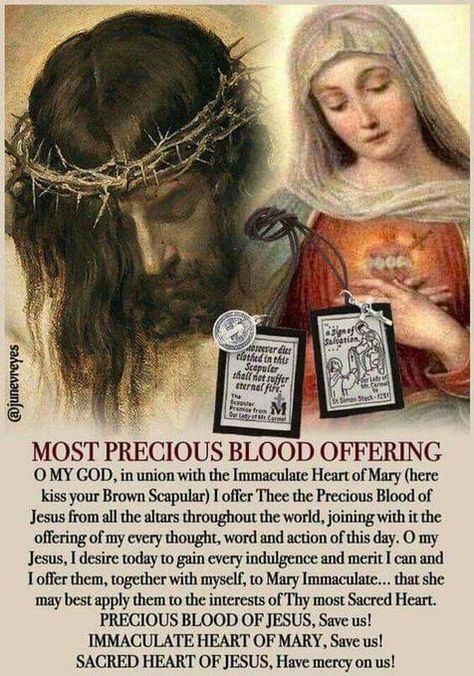 (56) JONATHAN RICARD on Twitter: "https://t.co/5AM5j7pH4W" / Twitter Brown Scapular Catholic, Precious Blood Of Jesus, Brown Scapular, Catholic Prayers Daily, Catholic Beliefs, Jesus And Mary, Novena Prayers, Rosary Prayer, Miracle Prayer