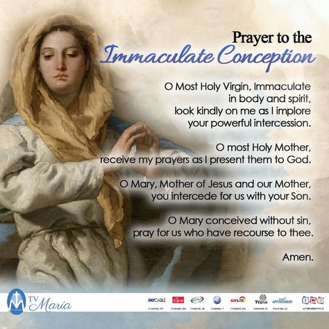 Immaculate Conception Image, Immaculate Conception Prayer, The Immaculate Conception, The Blessed Virgin Mary, Everyday Prayers, Immaculate Conception, Beautiful Prayers, Catholic Quotes, Saint Mary