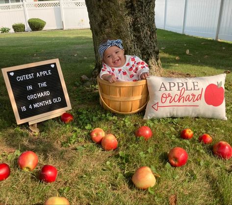 6 Month Board Photo Ideas, Apple Milestone Pictures, Newborn Apple Photoshoot, 4 Month Milestone Pictures, Halloween 4 Month Old Pictures, 4 Month Old Photo Shoot Ideas At Home, Apple Picking Photoshoot Baby, September Milestone Pictures, Apple Photoshoot Baby