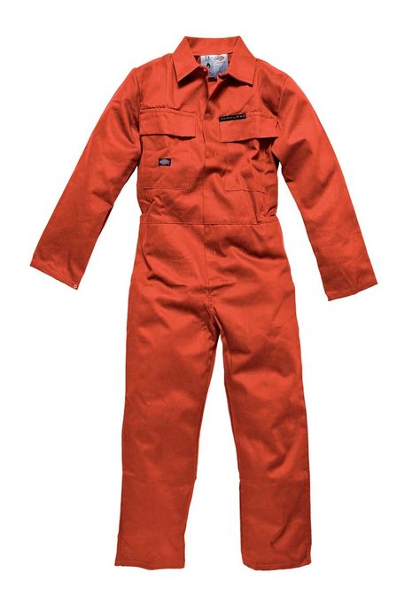 Ride in it or build in it . Mechanic Outfit, Mechanic Overalls, Mechanic Clothes, Mechanic Jumpsuit, Dickies Overalls, Waiter Uniform, Workwear Overalls, Overalls Fashion, Overalls Men