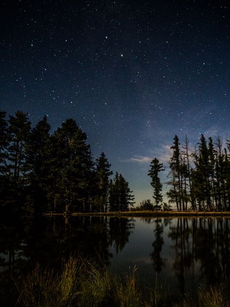 Forest Sky Aesthetic, Forest Night Photography, Night Forest Landscape, Night Forest Photography, Night Sky Reference, Night Aesthetic Forest, Night Aesthetic Landscape, Forest At Night Aesthetic, Forest Night Aesthetic