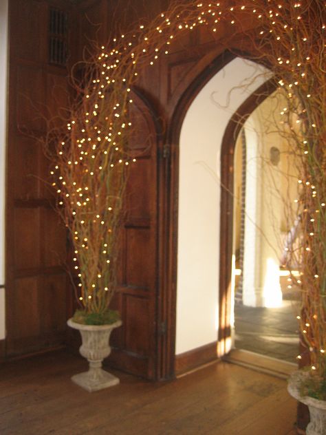 For the bride and groom's dramatic entrance, a natural arch featuring twinkling lights and woven organic elements in charming antique urns at Christine and Steve's Aldie wedding - by Buttercup. Wonderland Wedding Decorations, Open Air Wedding, Gala Decorations, Event Entrance, Antique Urn, Dramatic Entrance, Entry Lighting, Nye Wedding, Winter Wonderland Theme