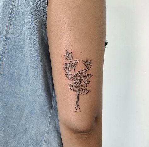 Mint Tattoo, Mint Plant Tattoo, Lucky Cat Tattoo, Mint Sprig Tattoo, Plant Tattoos, Mint Leaves Tattoo, Lemon Balm Tattoo, Mint Leaf Tattoo, Ally Tattoo