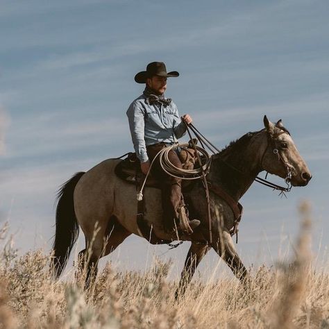 Colter Wall on TikTok Colter Wall, Western Quotes, Cowboy Life, Horses And Dogs, Gender Envy, 9k Followers, 1k Followers, Twitter Image, Short Videos