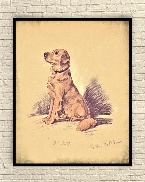 Golden Retriever Sketch, Retriever Drawing, Golden Retriever Drawing, Dog Illustration Art, Dog Prints, Outdoor Pillow Covers, Linen Cloth, Vintage Dog, Floral Pillows