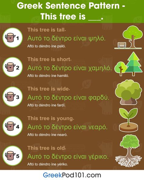 GreekPod101.com on Twitter: "Please answer in Greek: 🌲 This tree is __________________.   Learn #Greek with more infographic and pictures for FREE, just click here 🌴 https://t.co/bN7yRW9UDo… https://t.co/MMZk145fH5" Greek Vocabulary, Greek Learning, Greek Sayings, Greek Lessons, Learning Greek, Greek Phrases, Greece Language, Greek Language Learning, Learn Greek