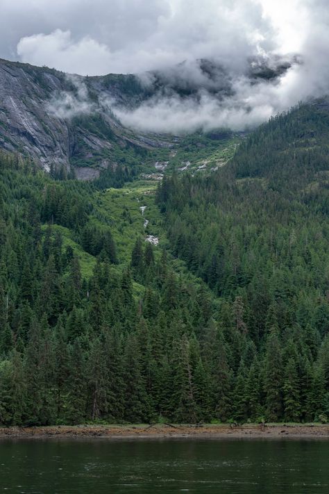 Tongass National Forest Alaska, Travel Classroom, Rio Grande National Forest, Mount Hood National Forest, Monongahela National Forest, Allegheny National Forest, Daniel Boone National Forest, Travel Alaska, Shawnee National Forest