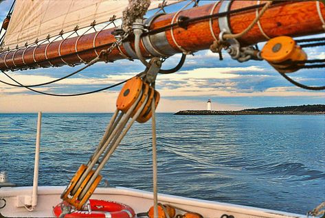 The original Bluenose 2 sailing in Halifax Harbour | Flickr Bluenose Ship, Bluenose Schooner, Halifax Harbour, Model Ship Building, Wooden Ship Models, Classic Yachts, Wooden Ship, Pirate Ship, Model Ships