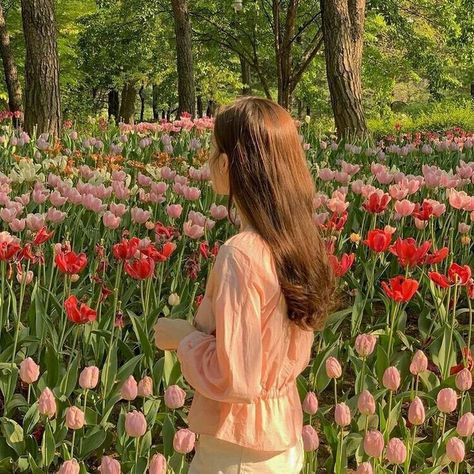 flower tulip aesthetic spring A Field Of Flowers, Field Of Flowers, The Endless, Tulips, Trees, Flowers, Red, Pink