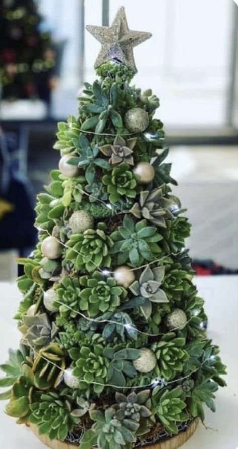 Christmas Decor Ideas Plants, Christmas Decor Ideas For Garden, Christmas Tree Succulents, Christmas Decor Ideas Summer, Christmas Tree Succulents Diy, Flower Christmas Decoration, Plant Themed Christmas Tree, Succulent Tree Christmas, Summer Christmas Crafts