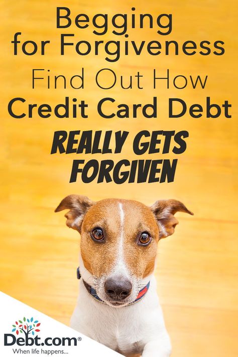 A Realist’s Guide to Credit Card Debt Forgiveness. Debt forgiveness is possible, but you need to be pragmatic and understand you usually don’t get something for nothing. Credit Card Payoff Plan, Debt Snowball Calculator, Debt Forgiveness, Debt Help, Improve Credit, Balance Transfer Credit Cards, Credit Debt, Debt Freedom, Credit Card Debt