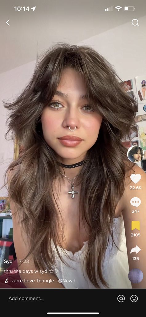 Long Layered Rocker Hair, Brunette Rocker Hair, Rockstar Layers Hair, 70s Layered Hair Long Shag Curly, 90s Shag Hair Long, Female Rockstar Hair, 90s Rocker Hair, Rock Shag Haircut, Thick Wolf Cut Hair