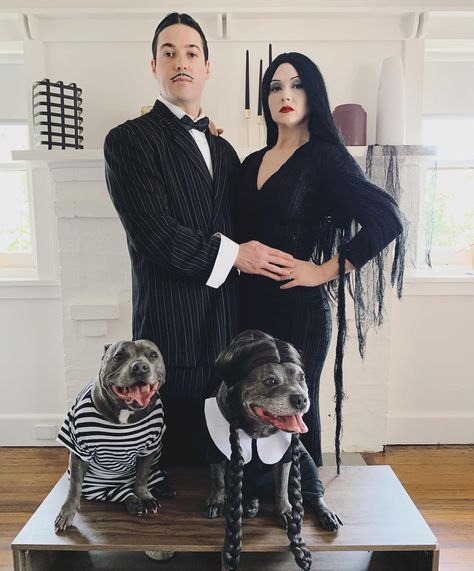 Halloween Costumes Addams Family, Family Dog Costumes, Halloween Costume Winners, Cute Couples Costumes, Addams Family Costumes, Pitbull Pictures, Last Halloween, Halloween Costume Idea, Cute Couple Halloween Costumes