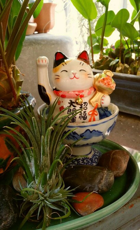 Maneki Neko - ( In My Little Garden) Maneki Neko Wallpaper, Maneki-neko, Hayao Miyazaki Art, Japan Icon, Miyazaki Art, Neko Cat, Japanese Cat, Japanese Aesthetic, Maneki Neko