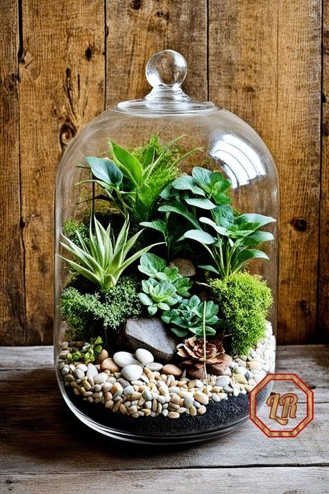 Best Terrarium Plants, Closed Terrarium Plants, Aquarium Garden, Paper Succulents, Diy Succulent Terrarium, Plant Goals, Beautiful Terrariums, Plant Terrarium, Succulent Garden Diy