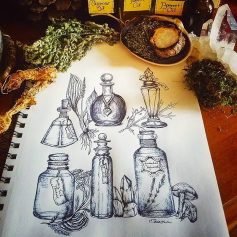 ✨🌿Herbal Potions🌿✨ . Got a little inspired on this hot and humid afternoon. There is something about opening, taking a deep breath and… Herbalism Tattoo Ideas, Apothecary Sketch, Apothecary Tattoo, Herbal Potions, Potion Tattoo, Victorian Horror, Herb Tattoo, Horror Sleeve, Herbal Tattoo