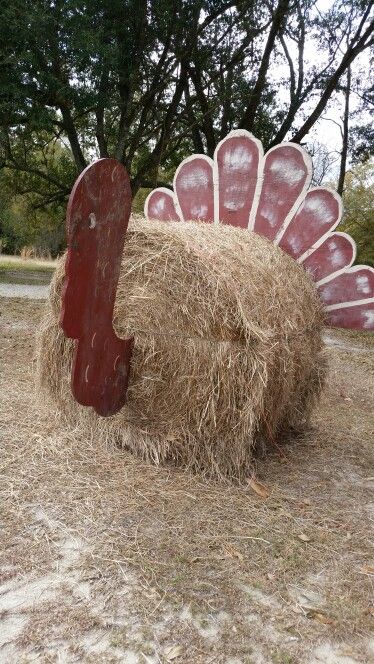 Hay bale turkey Round Hay Bale Decorating Ideas Christmas, Hay Bale Decorating Ideas Christmas, Hay Bale Christmas Ideas, Turkey Hay Bale, Hay Bale Turkey, Christmas Hay Bale Decor, Round Hay Bale Decorating Ideas, Hay Bale Christmas, Christmas Hay Bale