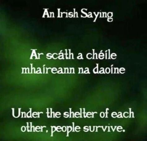 Gaelic Quotes, Irish Gaelic Language, Irish Blessing Quotes, Gaelic Words, Irish Words, Life Vibes, Irish Proverbs, Irish Language, Irish Gaelic