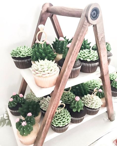 Bridal shower + cupcakes + wedding decor + desserts + boho theme + succulents Boho Graduation Party Ideas, Succulent Party, Succulent Wedding Cakes, Succulent Theme, Succulent Cupcakes, Cupcakes Wedding, Succulent Cake, Bridal Shower Cupcakes, Plant Party